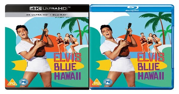 Toppa Termoadesiva Hawaii Blu, 9x5 Cm, Da Stiro O Cucito, Idea Regalo